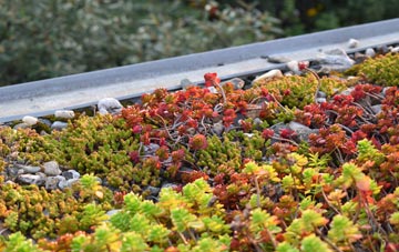 the cost of Mill Dam green roof installation