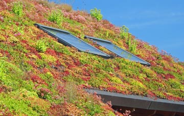 Mill Dam living roof systems